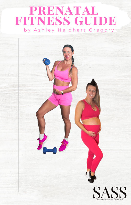 PRENATAL FITNESS GUIDE - Ashley Neidhart Gregory